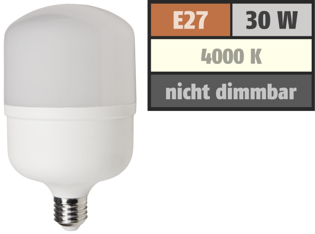 LED Lampe McShine BIG30 E27, 30W, 2800lm, 100x191mm, neutralweiß
