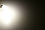 LED-Stiftsockellampe McShine Silicia COB, G4, 1W, 110 lm, warmweiß
